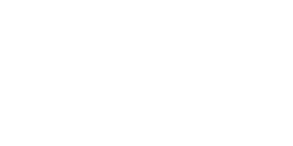 에이스 윈 logo